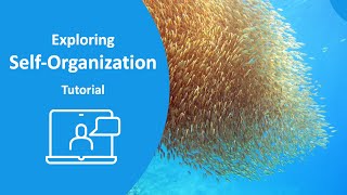 Self-Organization Tutorial