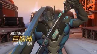 巨貓神overwatch