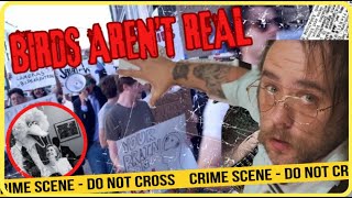 The Bizarre Conspiracy Theory That Drove Me Insane!
