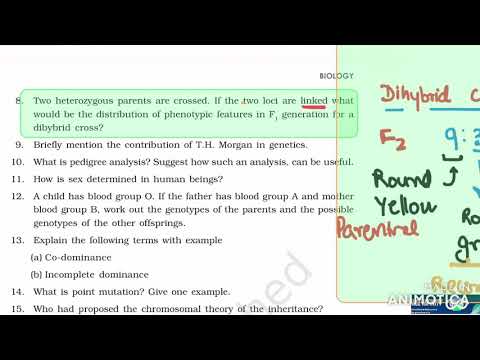 What happens if you cross two heterozygotes?