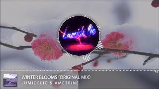 Lumidelic \u0026 Ametrine - Winter Blooms (Original Mix) [Synth Collective]