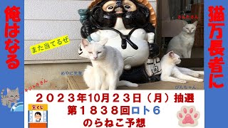 10月23日ロト６予想