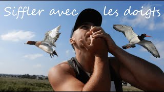 Siffler avec les Doigts les Oiseaux Migrateurs !! (limicoles, oies et canards...)