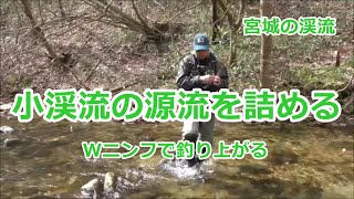 小渓流を源流まで詰める  /  Wニンフで釣り上がる / 宮城の渓流  / みちのく釣りの旅  ﾌﾗｲﾌｨｯｼﾝｸﾞ渓流釣り(4K) fly fishing