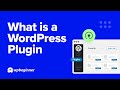 What is a WordPress Plugin?
