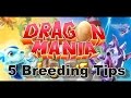 Dragon Mania Legends - 5 Basic Breeding Tips!