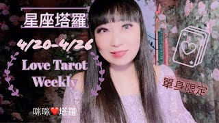 十二星座每週愛情占卜4/20-4/26單身限定⭐️咪咪❤️塔羅 Love Tarot Weekly