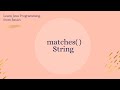 String matches( ) method in Java