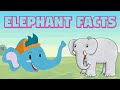 Elephant Facts for Kids - Interesting facts about elephant - Elephant Facts in English