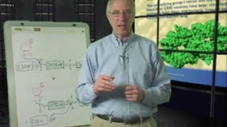 Tom Cech (University of Colorado, Boulder/HHMI): Discovering Ribozymes