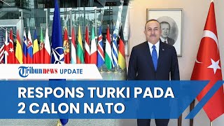 Beda Penilaian Turki terhadap 2 Negara yang akan Gabung NATO: Finlandia Damai, Swedia Provokatif