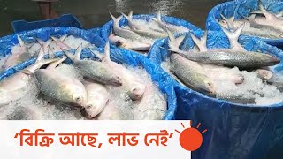 অনলাইনে প্রতারণার অভিযোগ ইলিশ বিক্রেতাদের | Hilsha Fish