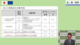 1-01　米、麦、麦芽（日EU・EPA大枠合意）