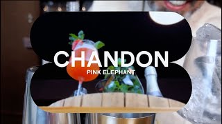 Comunidade Chandon - Pink Elephant