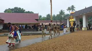 Udayanapuram Sreebali #festival #kerala #elephant #50k #views #subscribe