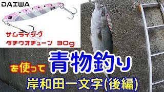 【ショアジギング】岸和田一文字(後編)『DAIWA サムライジグ タチウオチューン 30g』を使って青物釣り! + 「ハヤブサ 弾丸サヨリ」でサヨリ釣り! 初心者 ショアジギ サヨリ 入門