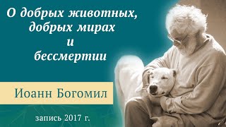 О добрых животных, добрых мирах и бессмертии (Иоанн Богомил)