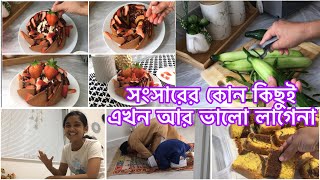 মেহমান এলো বাসায় অনেকদিন পর / সংসারের কোন কাজই আর আগের মতন ভালো লাগে না/ #vlog #video