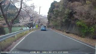 秋葉千本桜　秋葉ダムから