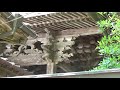 【景行天皇 行宮の地】彦嶽宮 下宮【九州の神社・パワースポット巡り】熊本県山鹿市のパワースポット