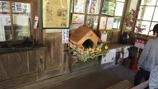 和気神社　藤まつり