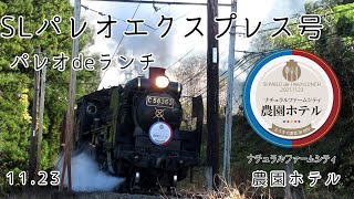 秩父鉄道　SLパレオエクスプレス号　2021.11.23