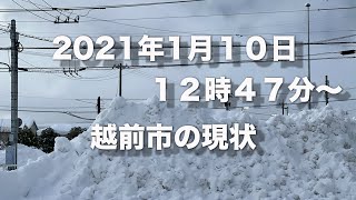 福井県雪速報　2021年1月10日12時47分〜越前市現状