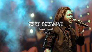 Teri Deewani (slowed + reverb) | Kailash Kher | Shiva_Official
