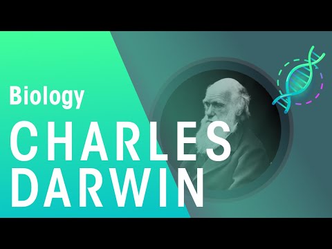 What plants and animals did Charles Darwin study?