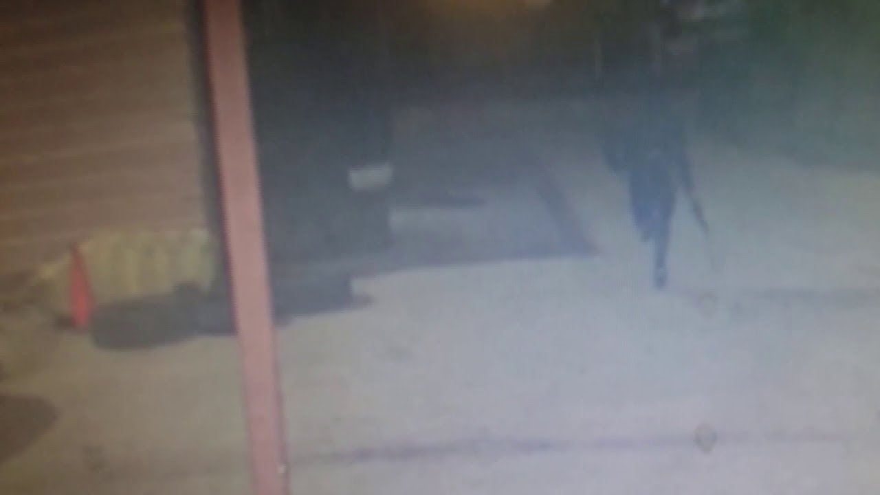 Surveillance Video Shows Masked Gunman Opening Fire Toward Customer ...