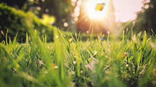 Happy Uplifting Background Music For Spring
