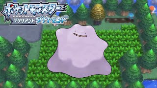 【ポケモンダイパリメイク】国際6Vメタモンを求めて ポケトレ100連鎖＆メタモン厳選 残り2日【ポケットモンスター】