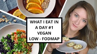 What I Eat In A Day #1 - Low-FODMAP & VEGAN for IBS