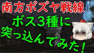 【FF14】南方ボズヤ戦線に白魔道士で突撃してみた！【クリティカルエンゲージメント】