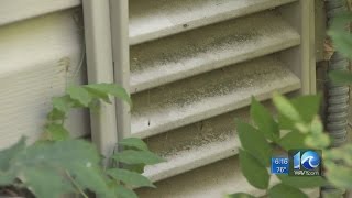 Special Report Breaking The Mold