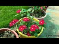 summer garden overview with new set up garden overview my beautiful rooftop garden