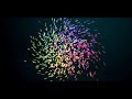 Simple particle logo Animation After Effects | After Effects Tutorial - No Plugins | S01E02
