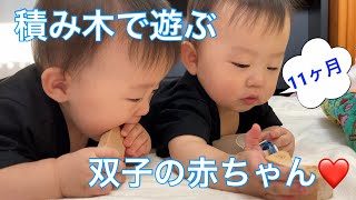 【仲良し❤️】積み木で遊ぶ双子の赤ちゃん👶👶💕【11ヶ月】