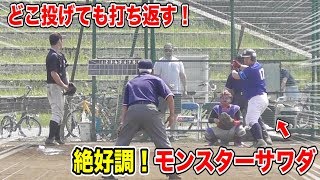 絶好調モンスターサワダ！速球も変化球も打ち返す…スター状態。