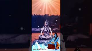 Shorts | Shorts Feed | God Status | Lord Shiva Status | Shorts Videos | Shivan Song | Om Namchivaya