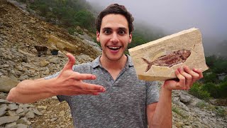 How to find the best Fish Fossils in the world