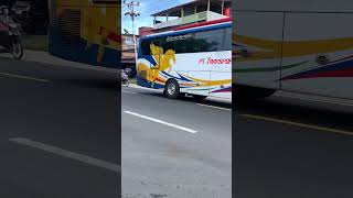 PESONA BUS DI TERMINAL JATI PARIAMAN || SUMATERA BARAT