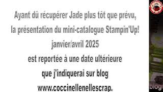 Report présentation du mini-catalogue