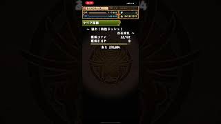 【パズドラ】ランク900達成！！