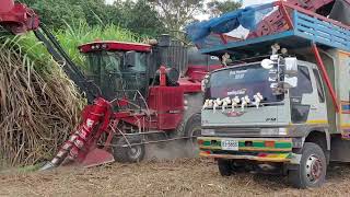 แรงแพคคู่ รถตัดอ้อย CASE IH7000 เจอ ปีกนก FM2K ตั้งรับ sugar cane harvaster and truck EP.9148