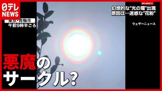 各地で出現！幻想的な「光の環」の正体は？ “悪魔のサークル”との声も（2021年2月23日放送「news every.」より）