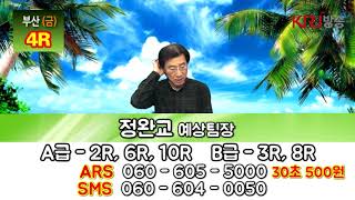 20190419 정완교의 싸이즈가 다른 방송 금요일 부산 경마예상방송