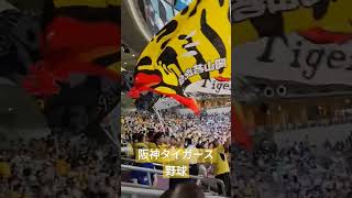 野球とサッカー　試合前の応援　こんなに違うの！？比較してみた〜！