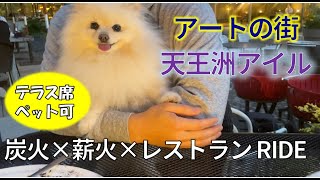 【犬とお出かけ】愛犬と一緒に天王洲アイル【テラス席同伴OK】カジュアルレストランに潜入！