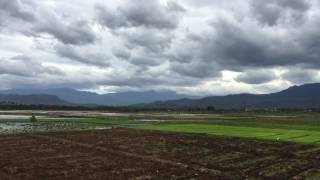 Tenkasi [Tamil Nadu, India]